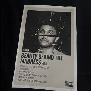 Beauty Behind the Madness Poster